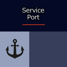 Service port